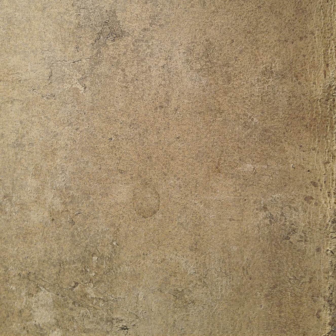 Aged Leather - Chamois Wall Mural