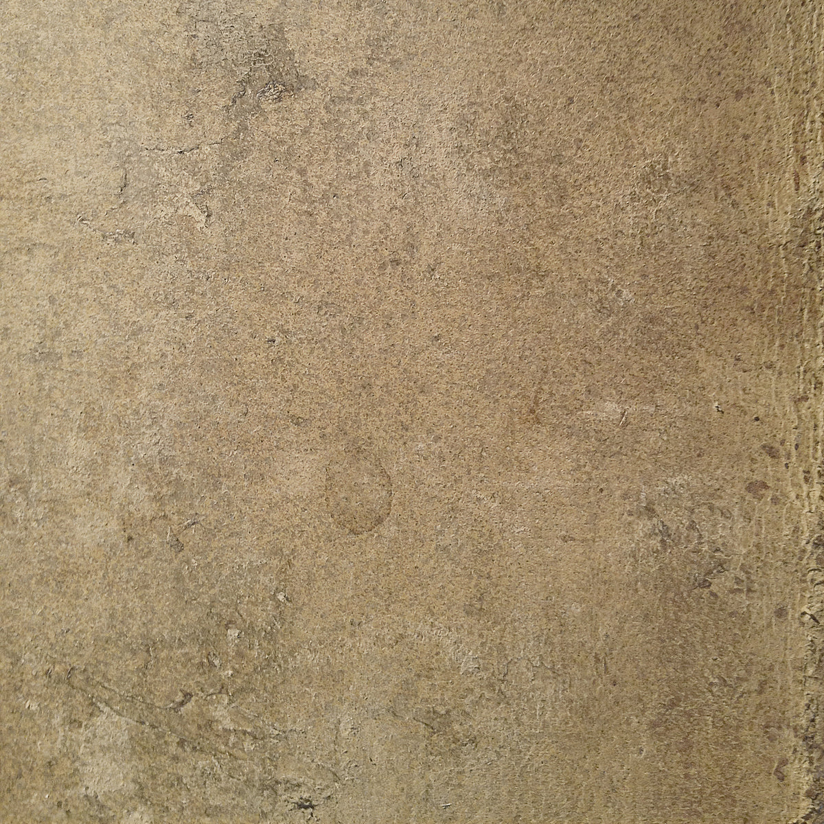 Aged Leather - Chamois Wall Mural