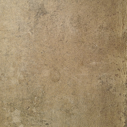 Aged Leather - Chamois Wall Mural