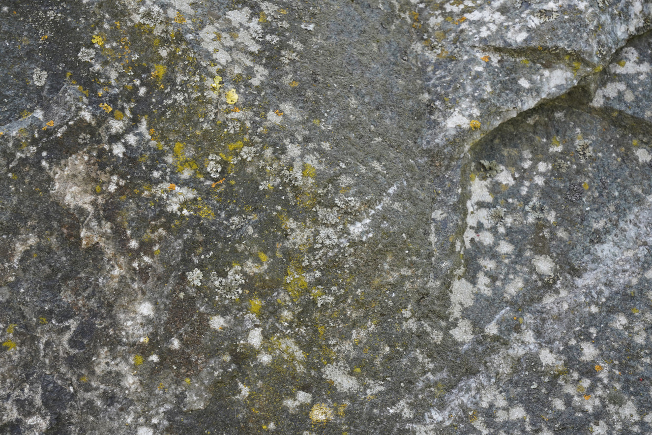 Stone Texture Wall Mural -2566622