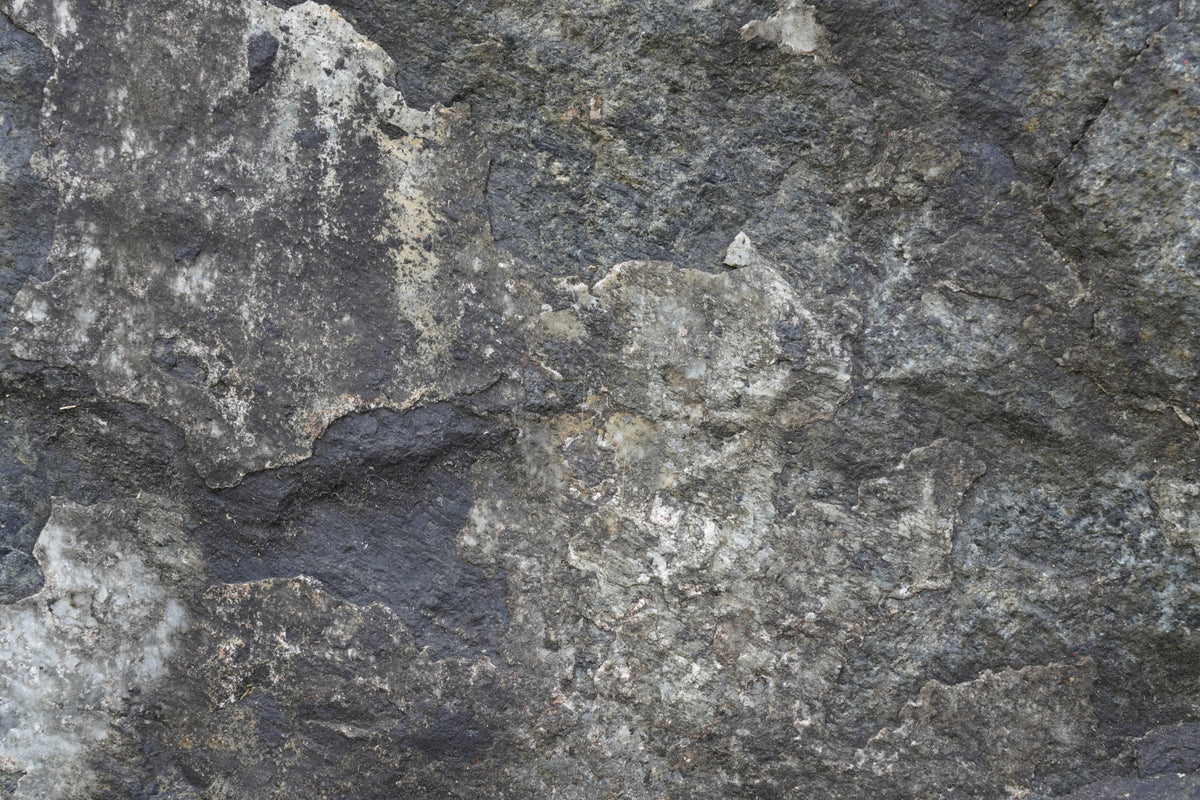 Nature's Rock Wall Mural - 2566616