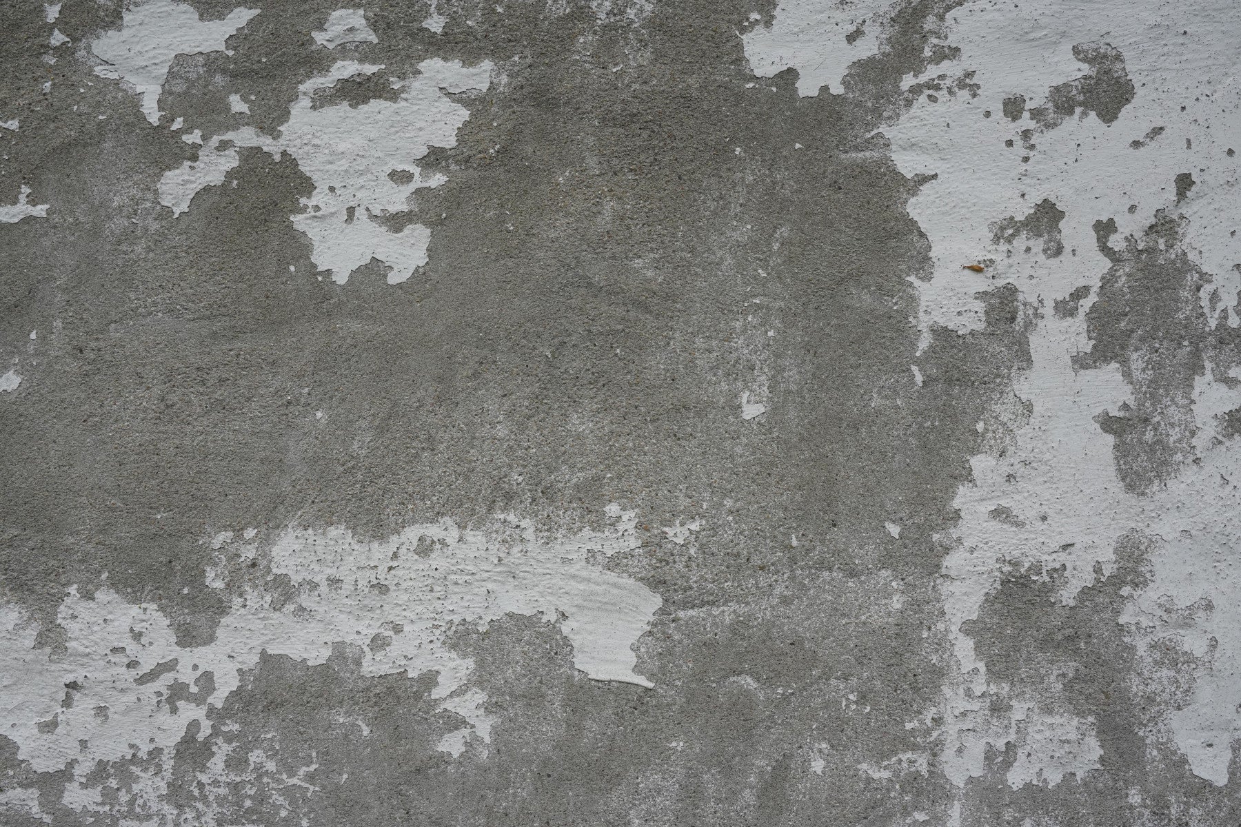 Distressed Concrete Wall Mural -2566584