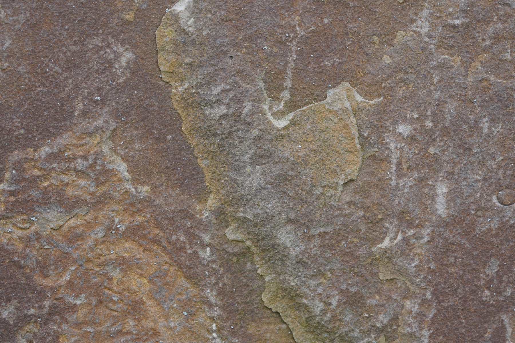 Earthy Stone Texture Wall Mural