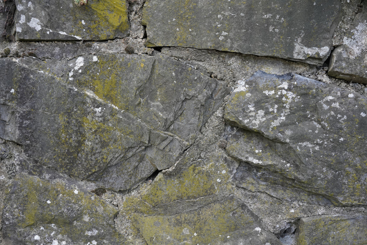 Cracked Stone Texture Wall Mural -2566627 in your room — zoomed