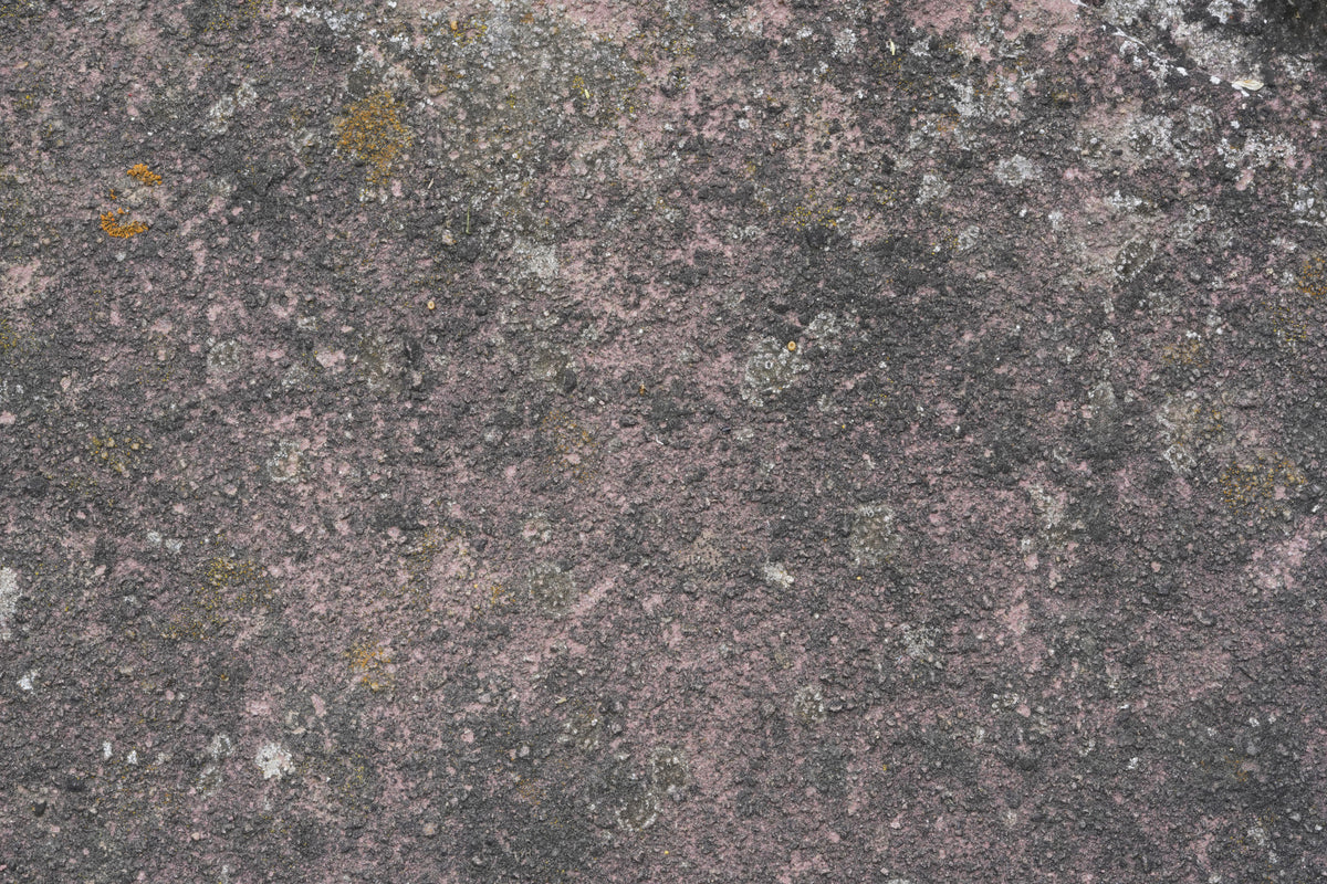 Aged Earth Wall Mural -2566601