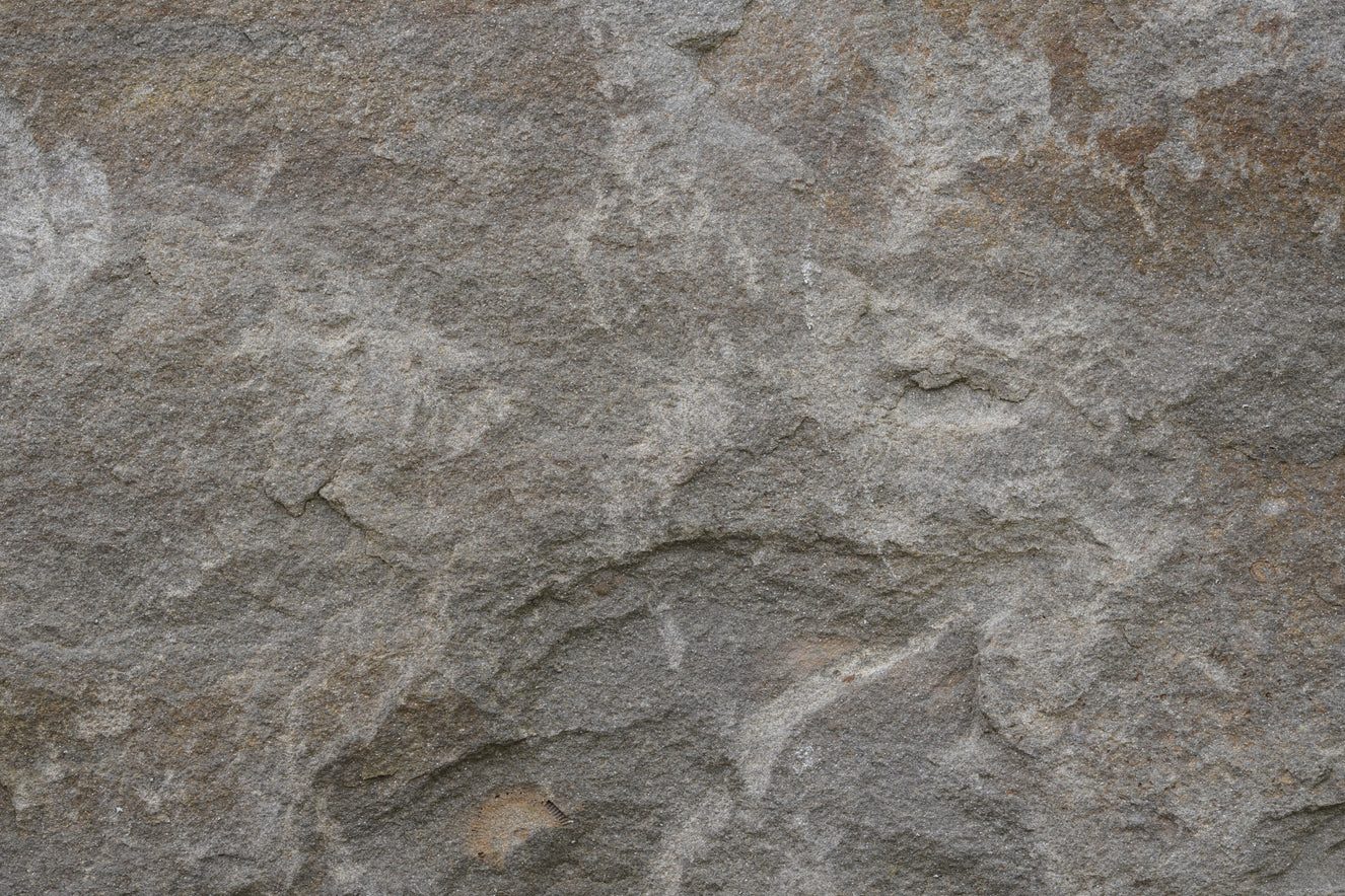 Stone Whispers Wall Mural -2566631