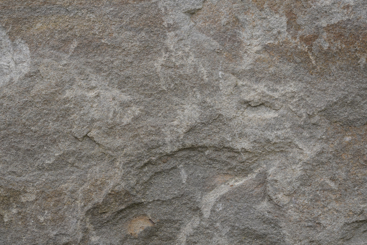 Stone Whispers Wall Mural -2566631