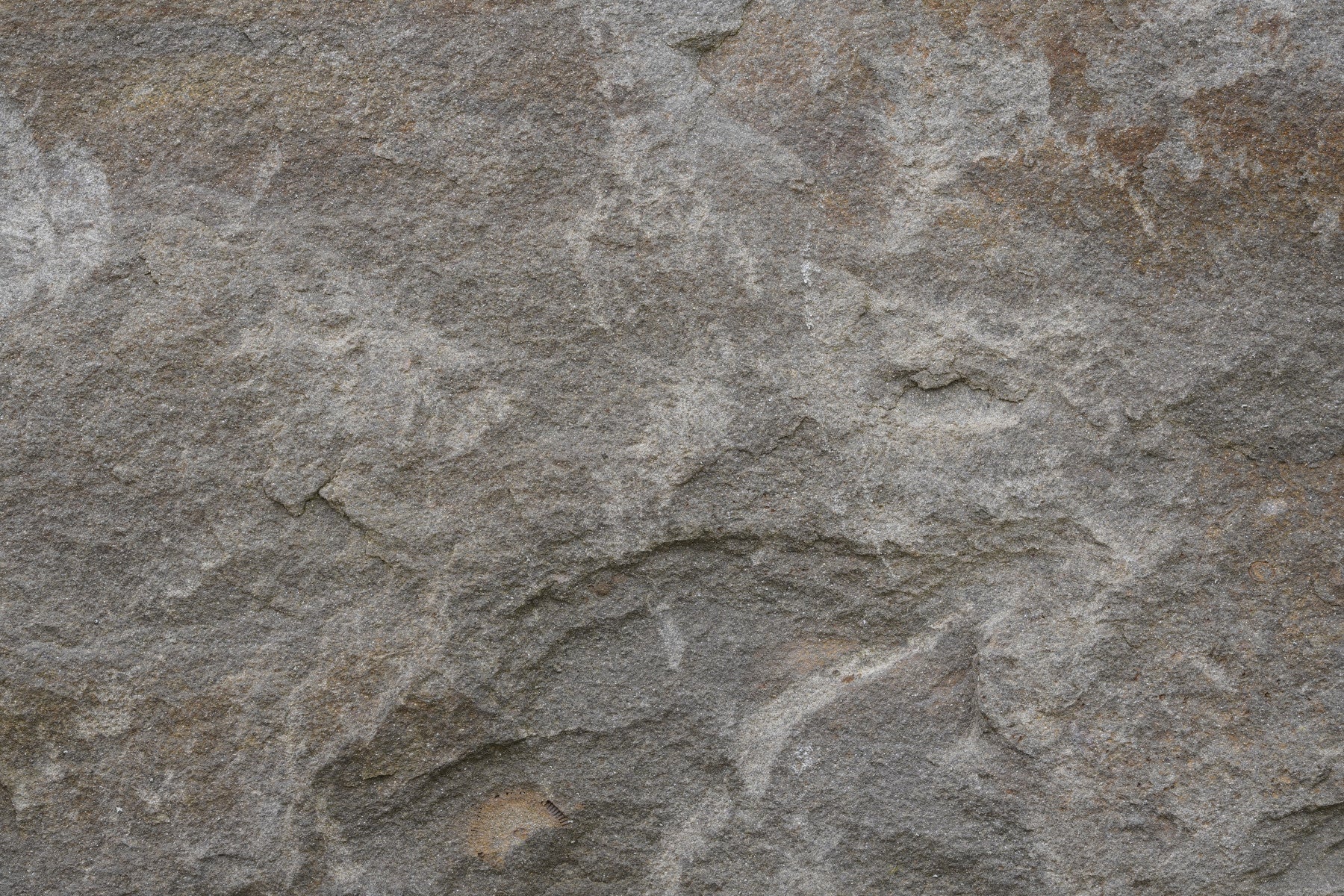Stone Whispers Wall Mural -2566631