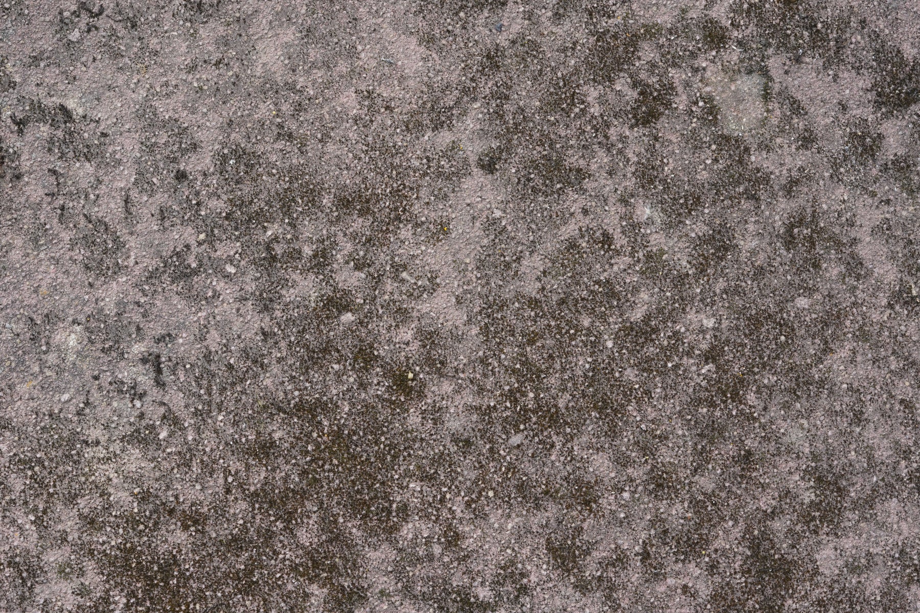 Grunge Finish Wall Mural -2566602
