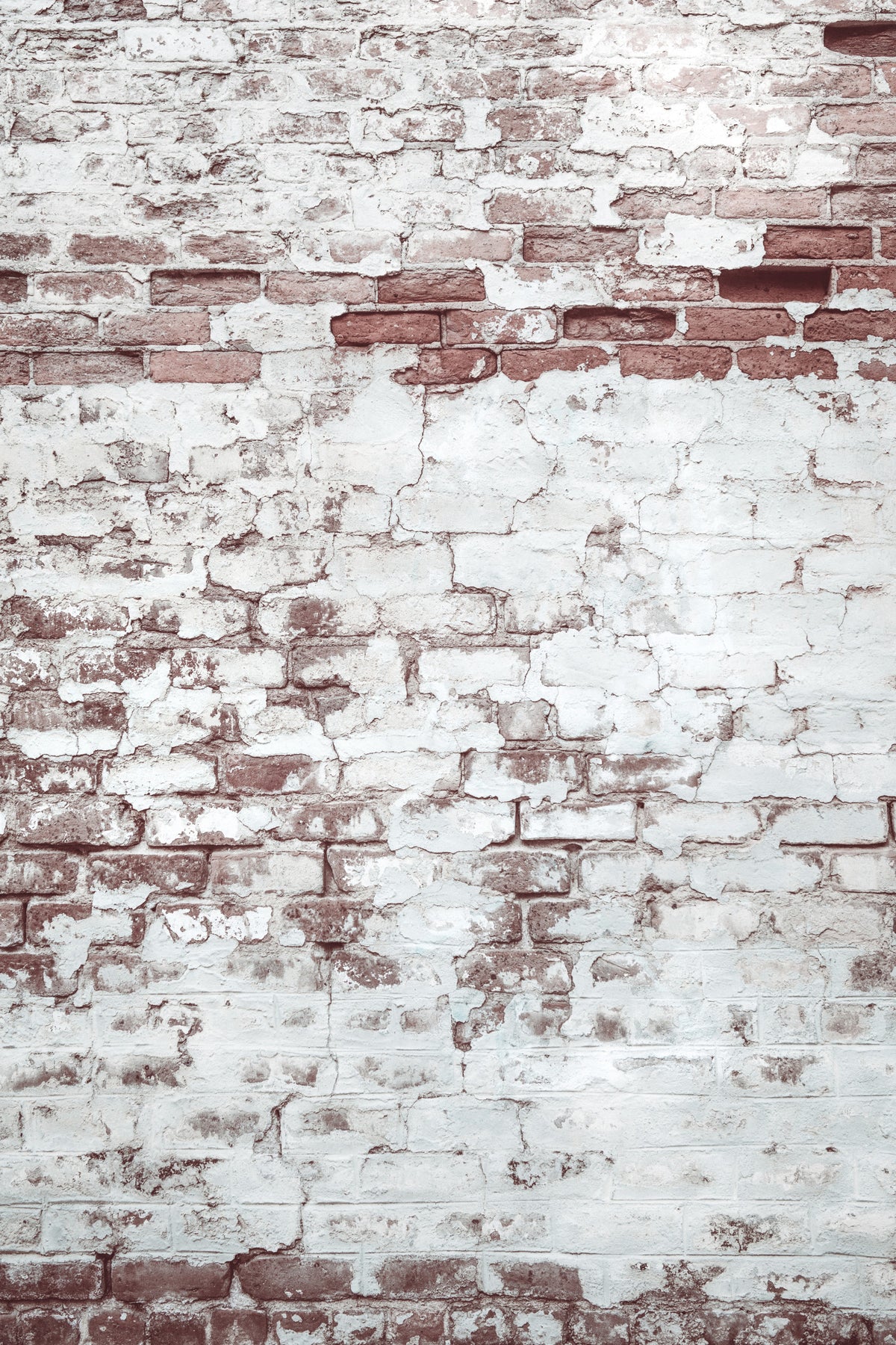 Vintage Washed Brick Wall Mural -2226409