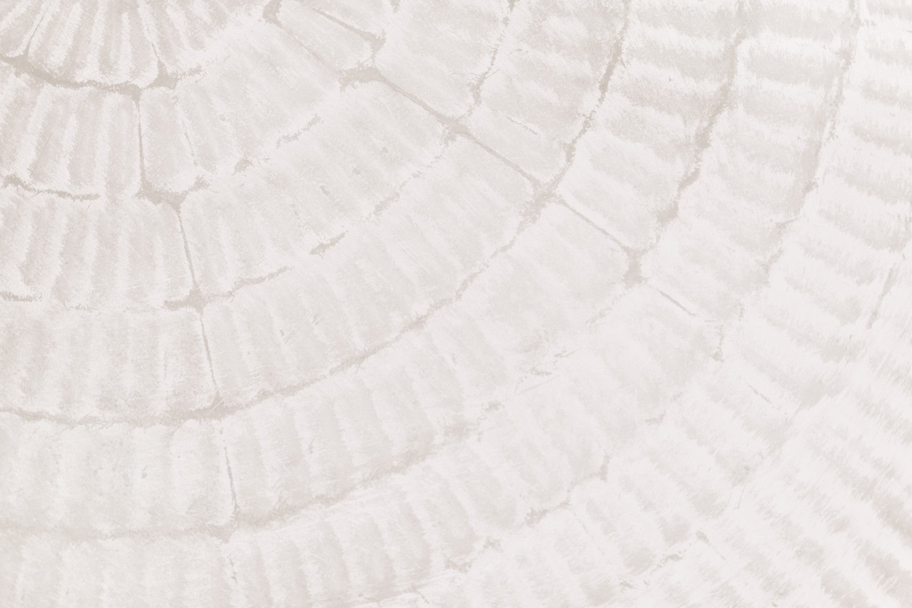 Oyster Shell Echo Wall  -2306169 in your room — zoomed