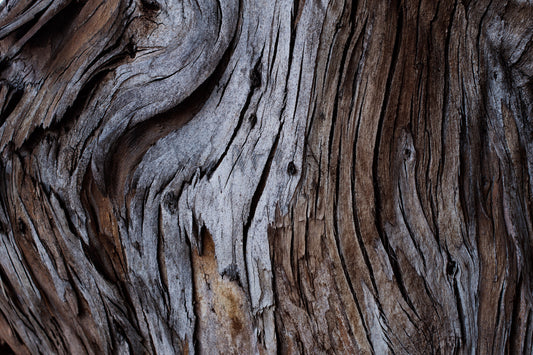 Worn Timber Wall Mural -2226210