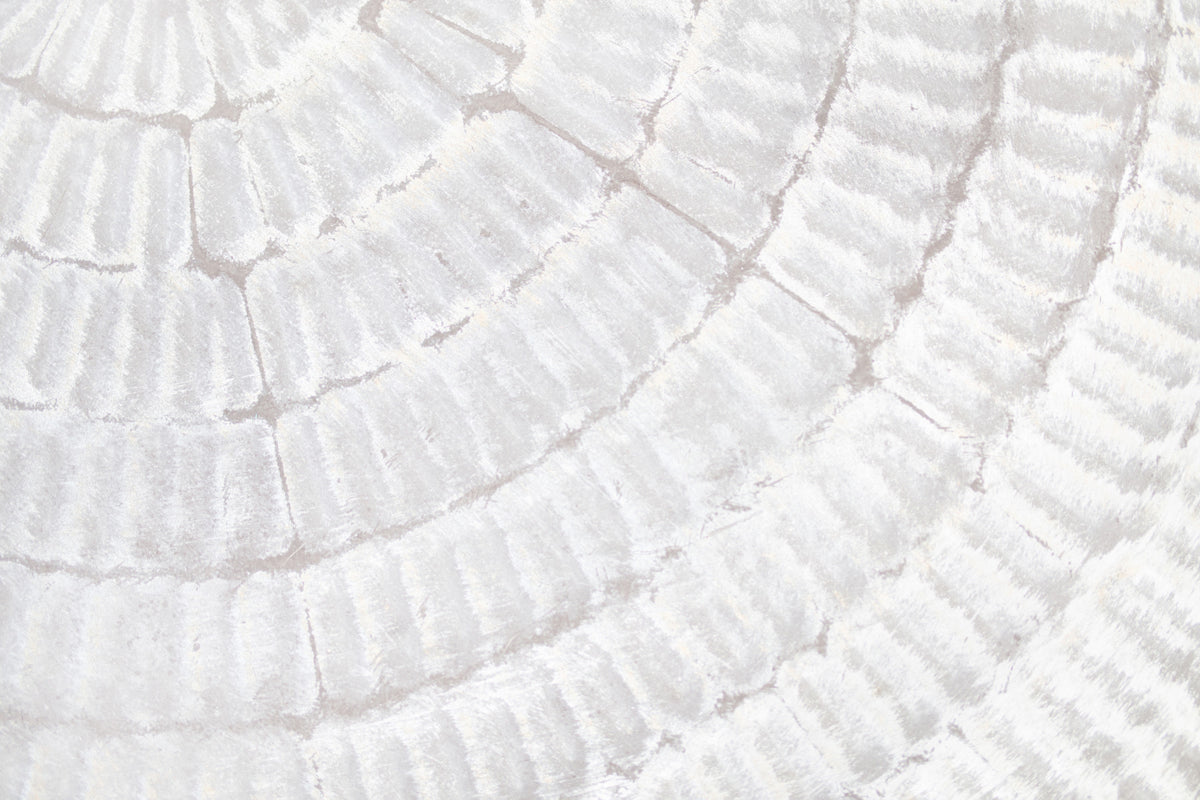 Whispered Texture Wall Mural in your room — zoomed