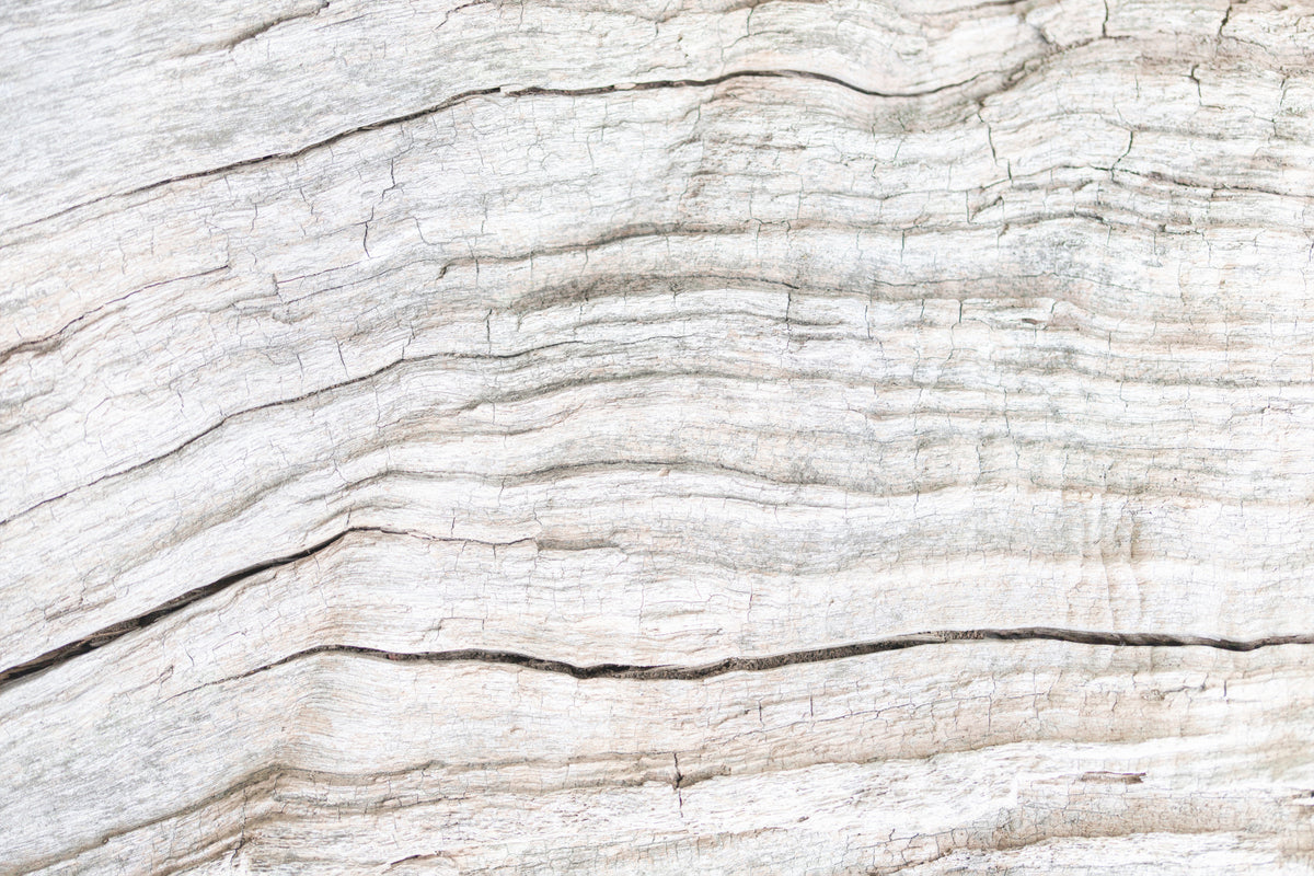 Driftwood Texture Wall Mural -2306171