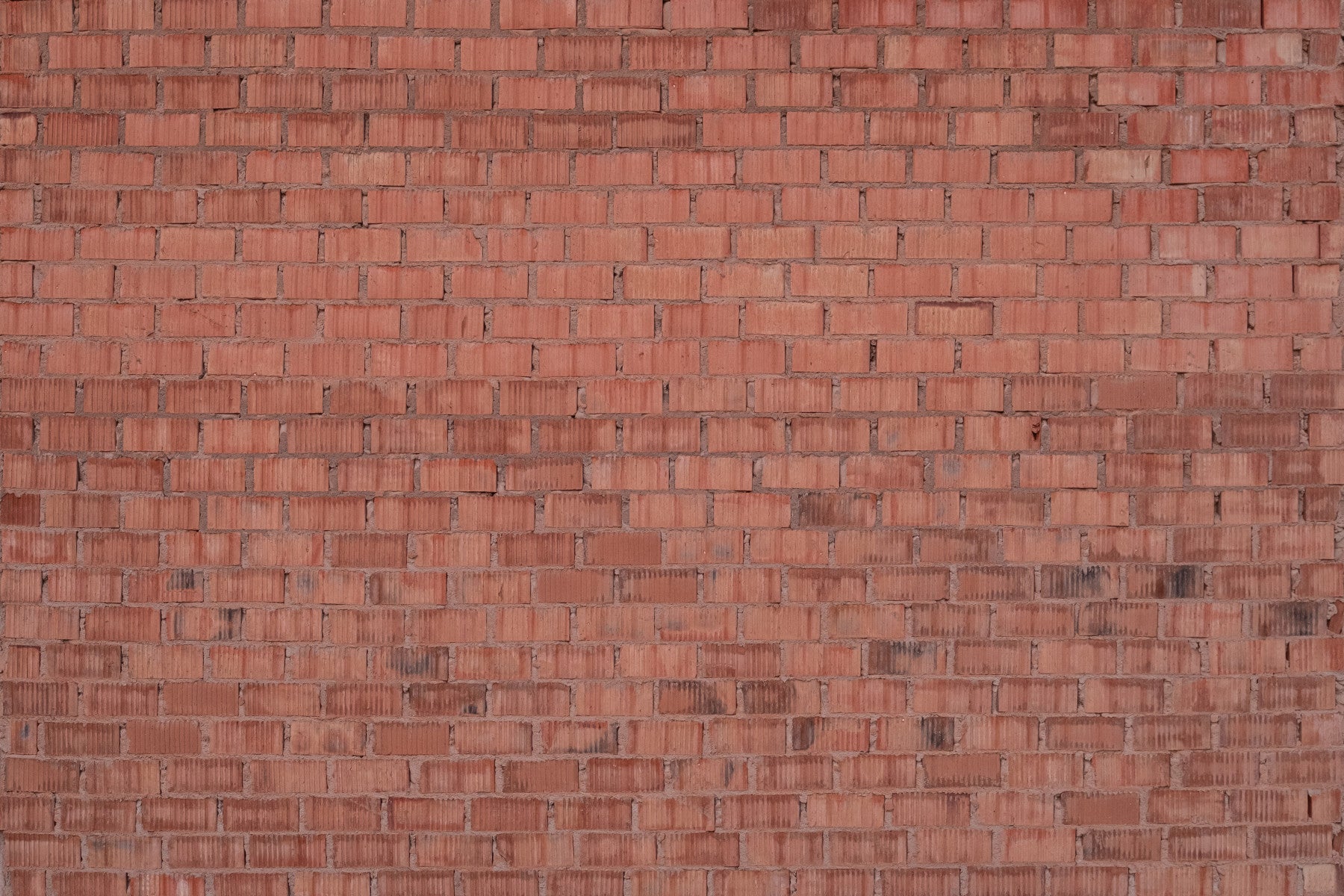 Worn Brick: Earthy Texture Wall Mural