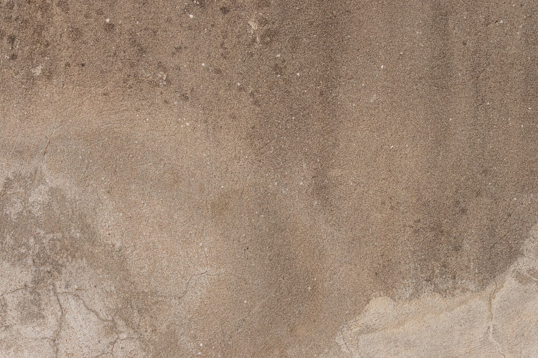 Earthy Canvas Wall Mural - 2306808
