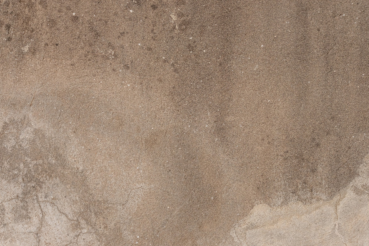 Earthy Canvas Wall Mural - 2306808 in your room — zoomed