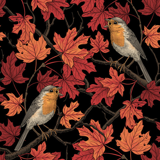 Robins in maple tree on black Wallpaper⁠