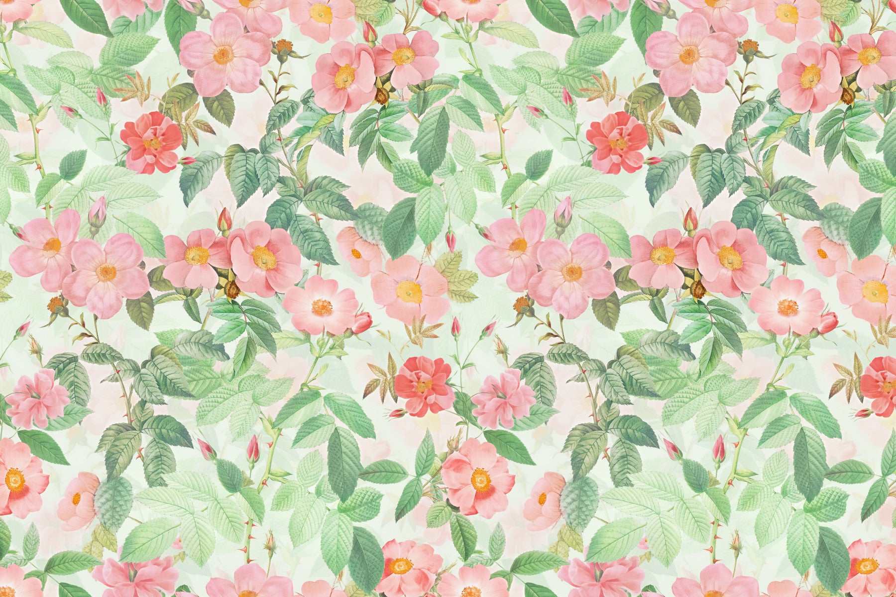 Vintage Redouté  Rose Garden Wall Mural