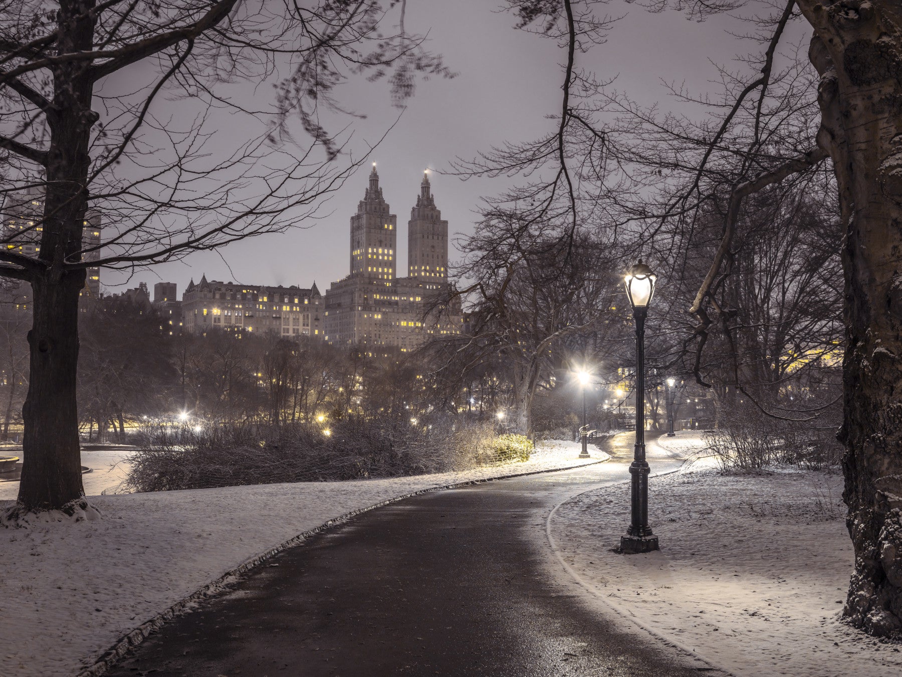 Park Path at Night Wall Mural