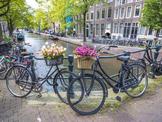 Amsterdam Blooms on Wheels Wall Mural