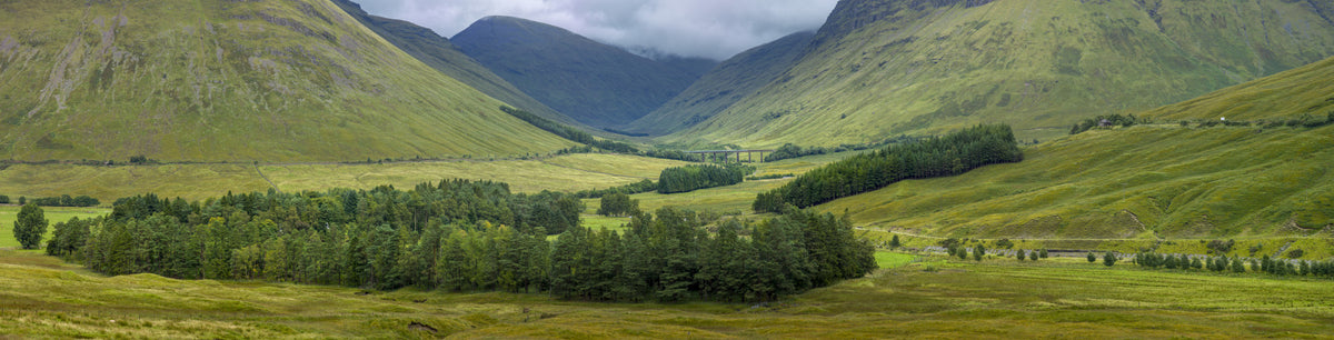 Scottish Highlands Vista Wall Mural
