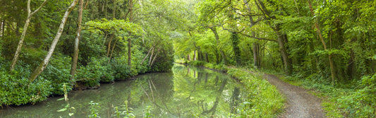 Verdant Stream Escape Wall Mural