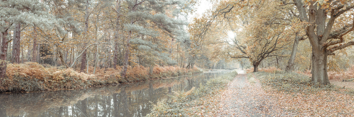 Quiet Waters Wall Mural in your room — zoomed