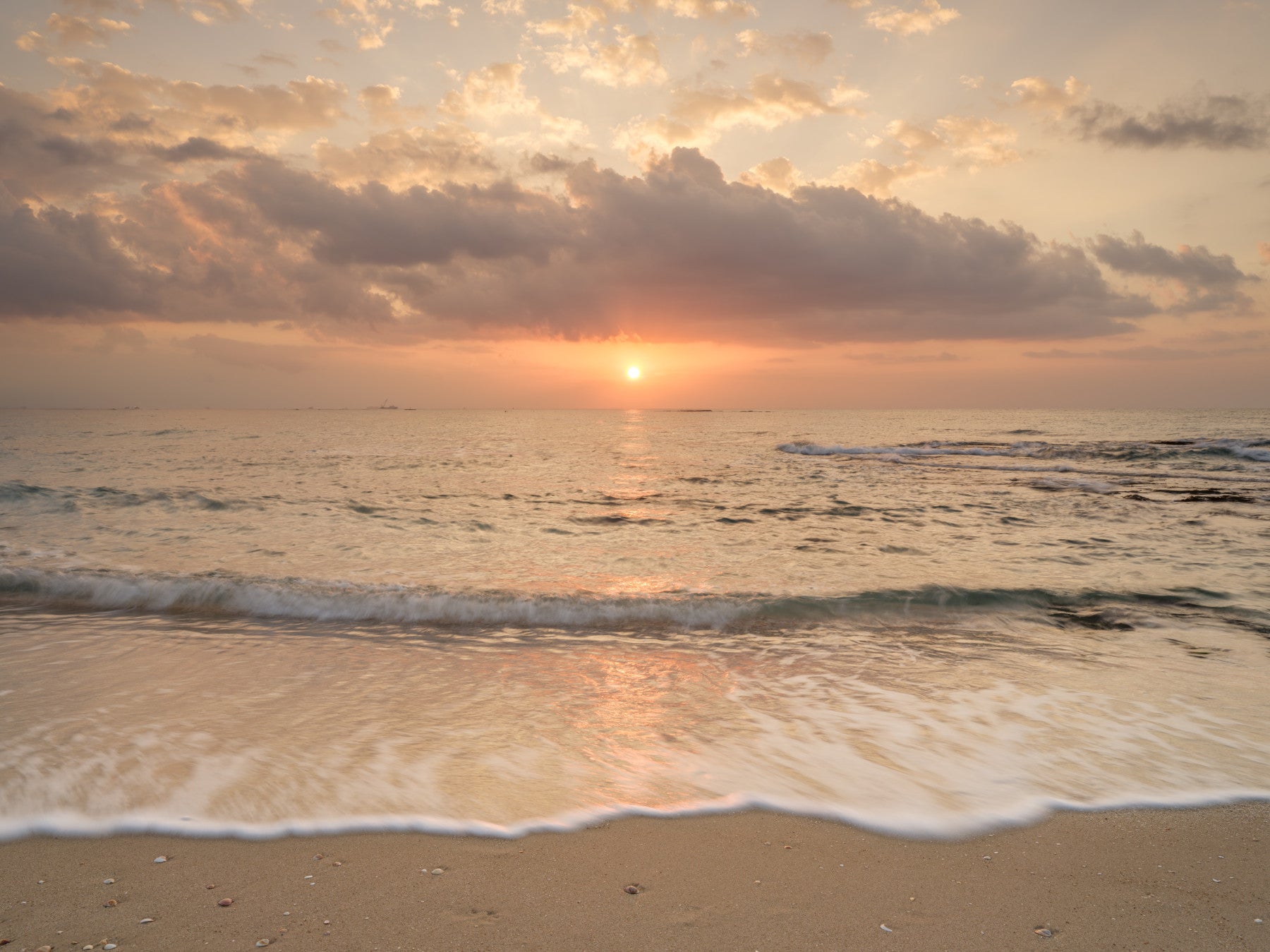 Gilded Shores at Dusk Wall Mural