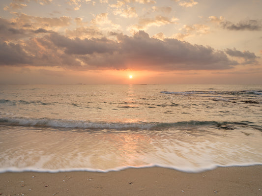 Gilded Shores at Dusk Wall Mural
