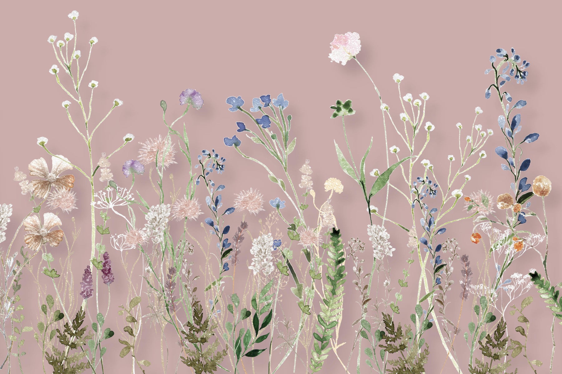 Blush Meadow Blooms Wall Mural - 3133173