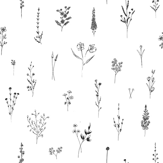 Botanical Sketch Wallpaper Wallpaper⁠ -3005897