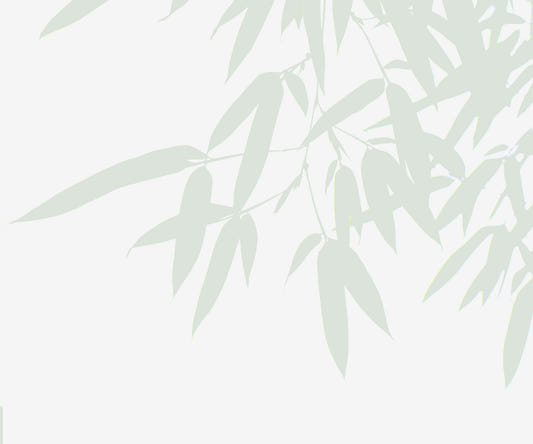 Bamboo Leaf Wall Mural