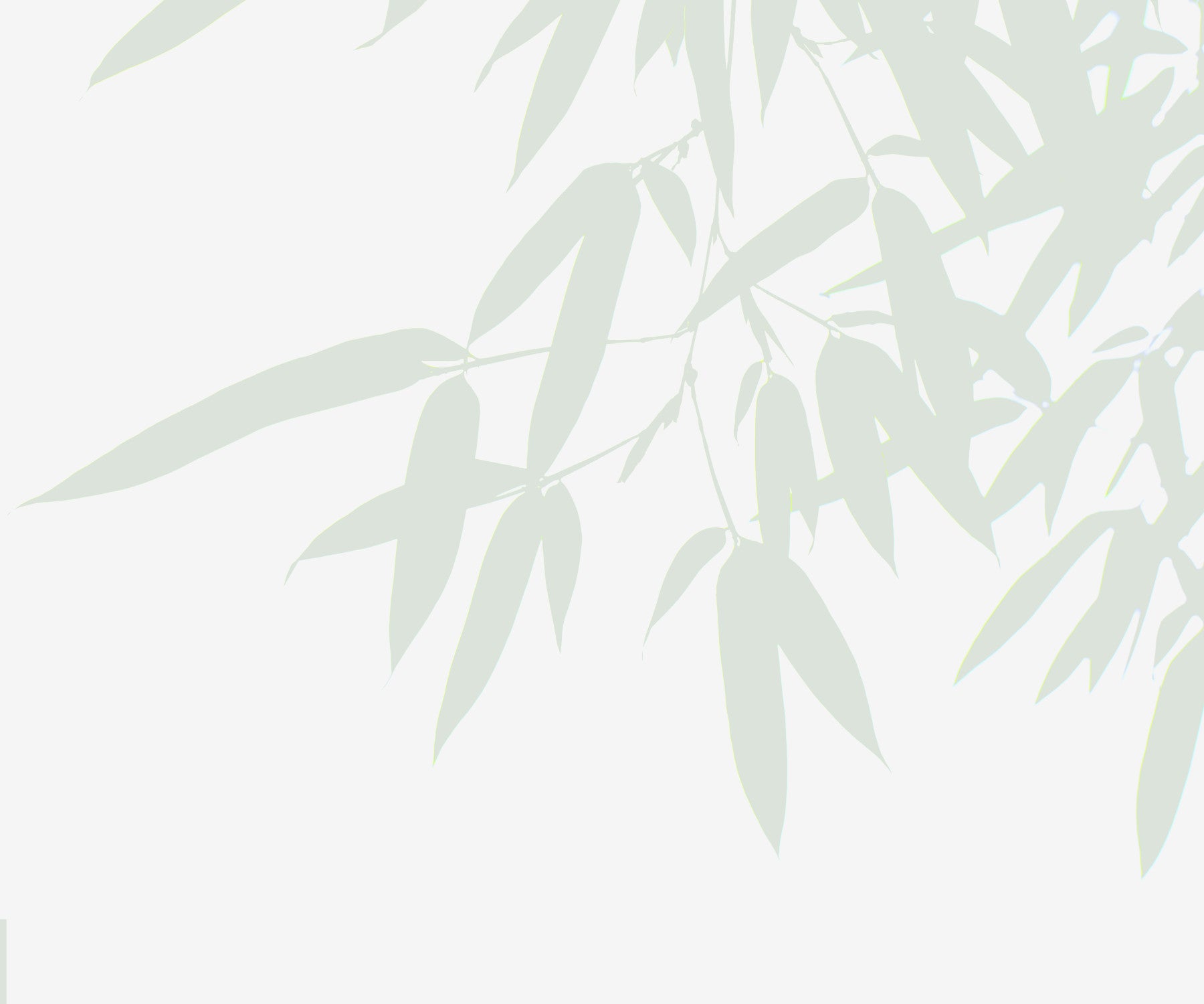 Bamboo Leaf Wall Mural