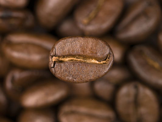 Coffee Infusion Wall Mural