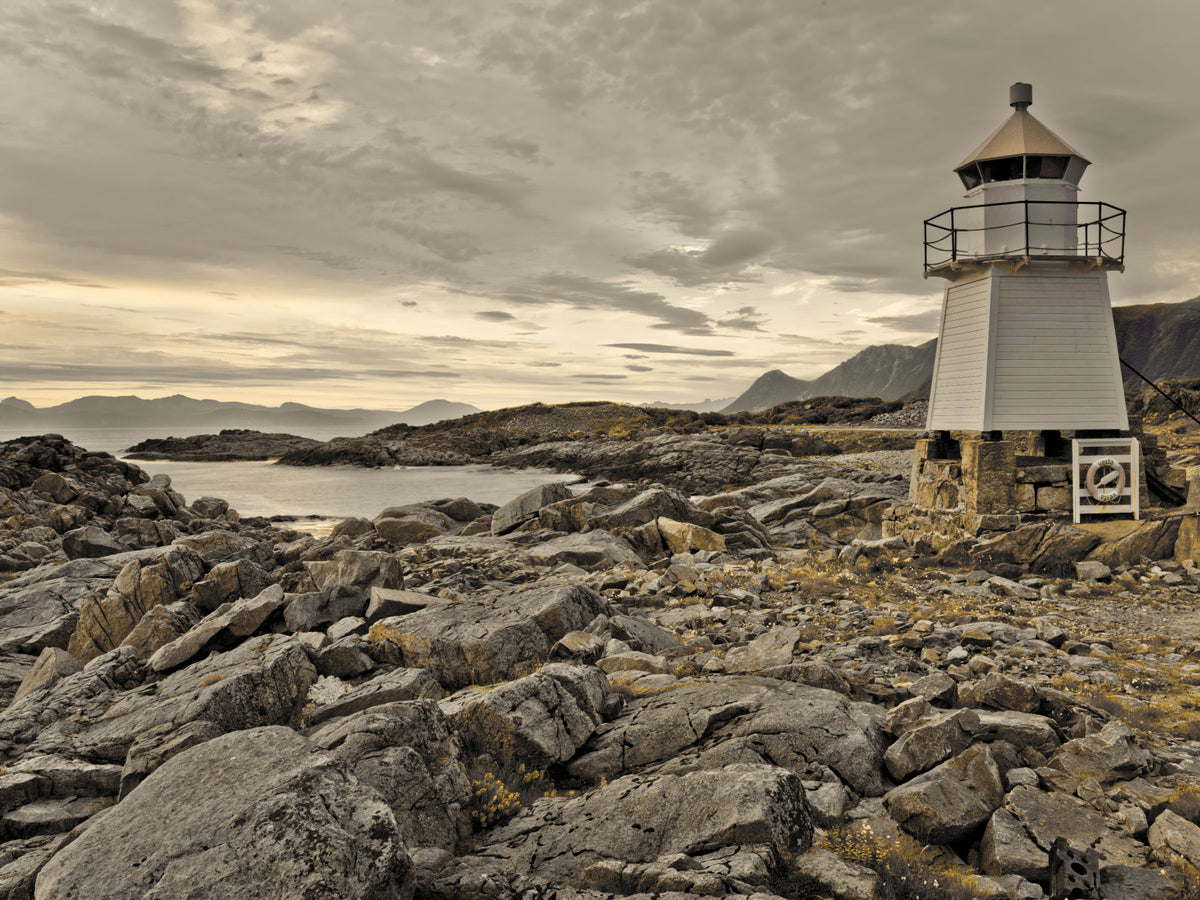 Guardian of the Coast Wall Mural