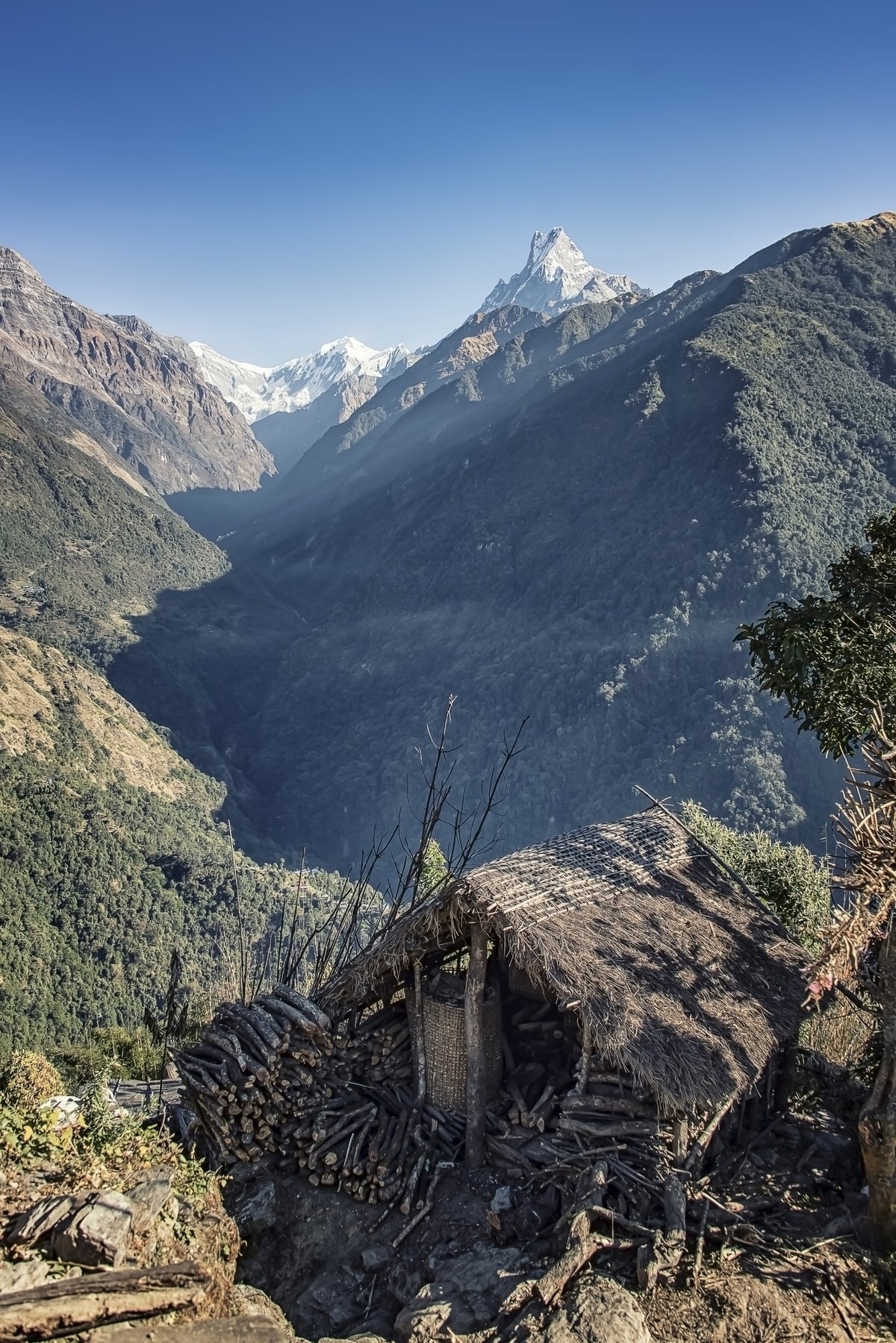 Mountain Hut Vista Wall Mural in your room — zoomed