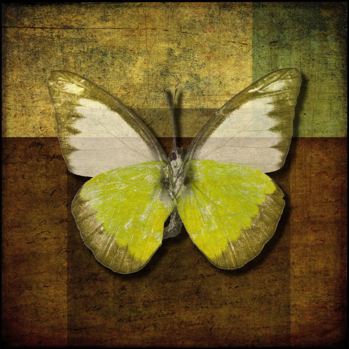 Golden Wings Wall Mural