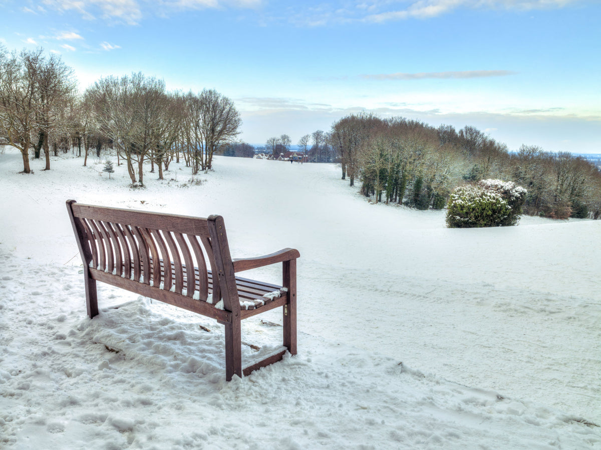 Bench in a Snowy Landscape Wall Mural