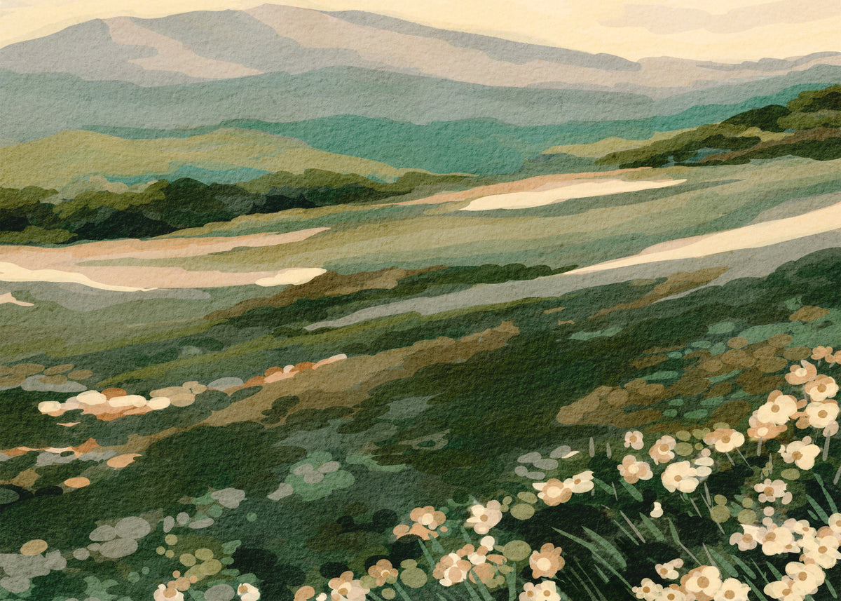 Floral Meadow Vista Wall Mural