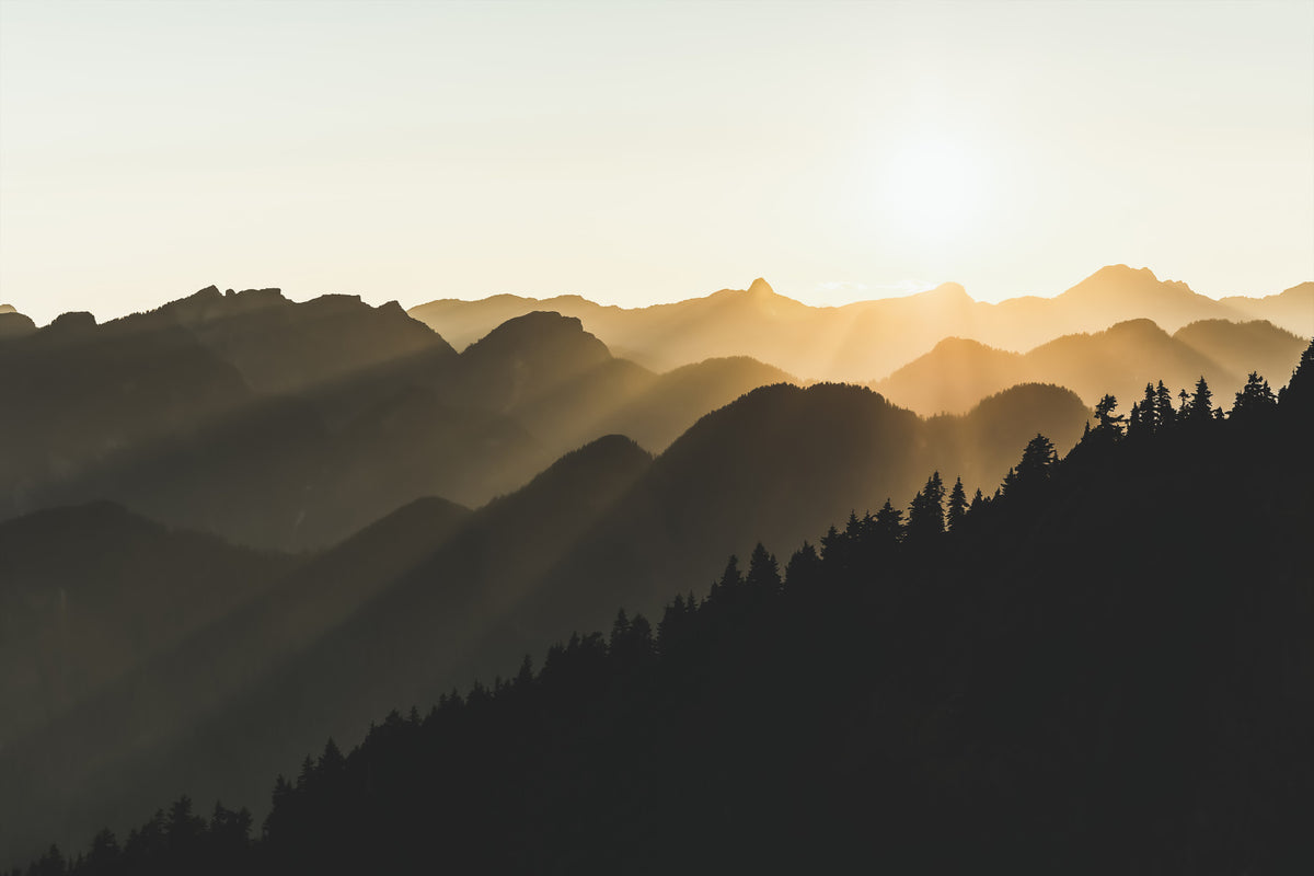 Mountain Dawn Woodland Wall Mural - 2254321 in your room — zoomed