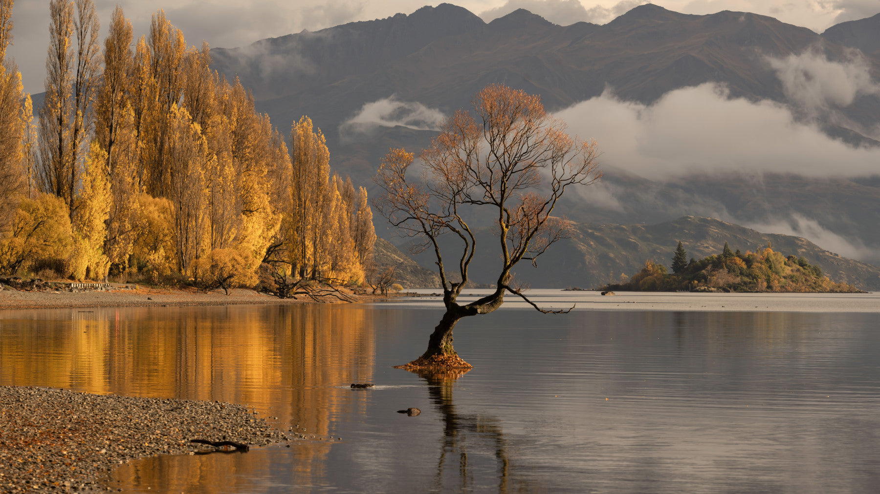 Autumn Woodland Dawn Mirror Wall Mural - 2635223