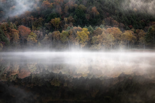Enchanted Woodland Mist Reflection Wall Mural - 2264459