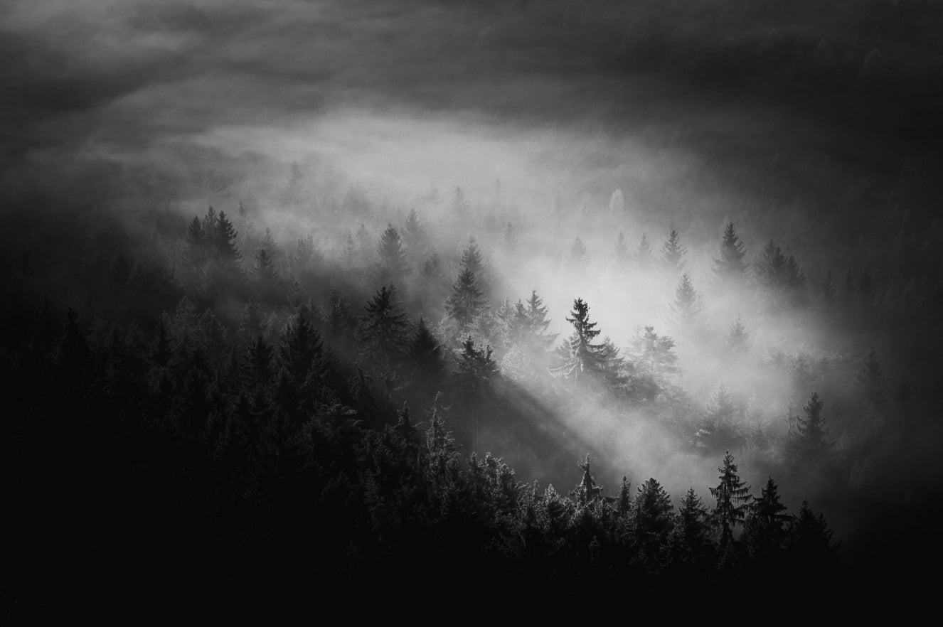 Luminous Woodland Island Fog Wall Mural - 2488312