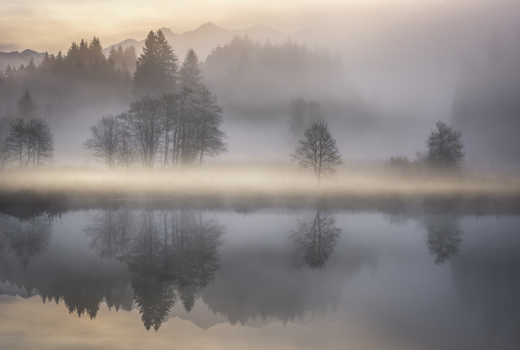 Woodland Dawn Reflection Wall Mural - 2576375