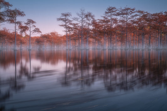 Woodland Twilight Lagoon Wall Mural - 2363153