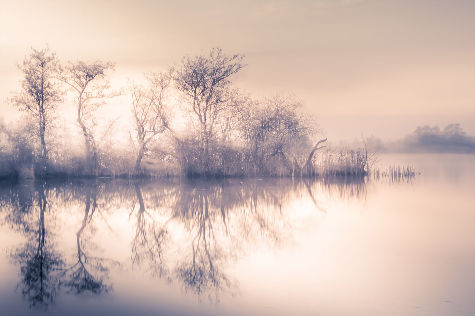 Serene Reflections Wall Mural - 2463583