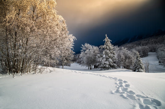 Frozen Footsteps Wall Mural - 2328574