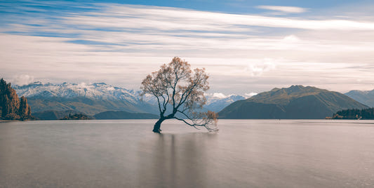 Lake Wanaka Tree Serenity Wall Mural - 2250028