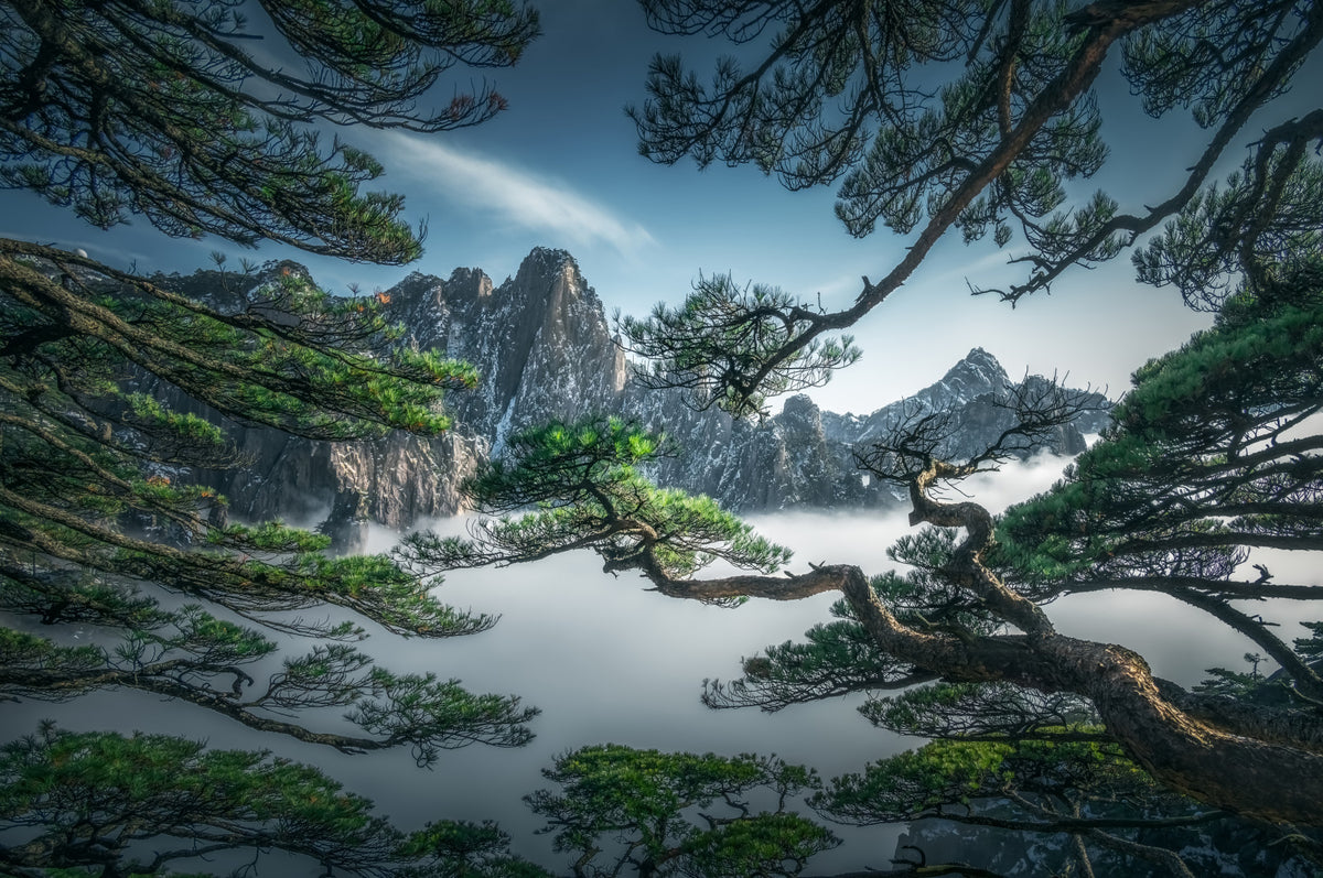 Zenith Peak View Wall Mural - 2301560